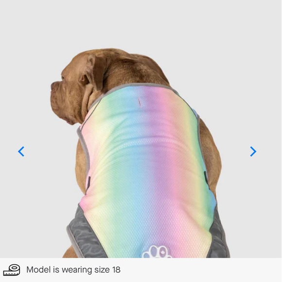 Canada Pooch Chill Seeker Cooling Vest - Rainbow - Size 16 - Picture 9 of 16